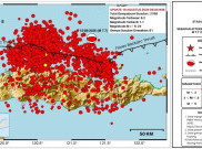 2 Ribu Lebih Gempa Susulan Terjadi di Flores NTT, BMKG: Akan Berlangsung sampai 4 Pekan Kedepan