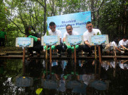 Kampanye Sustainabili-Tree Bluebird Tanam 530 Bibit Mangrove di Pesisir Utara Jakarta