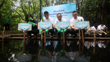Kampanye Sustainabili-Tree Bluebird Tanam 530 Bibit Mangrove di Pesisir Utara Jakarta