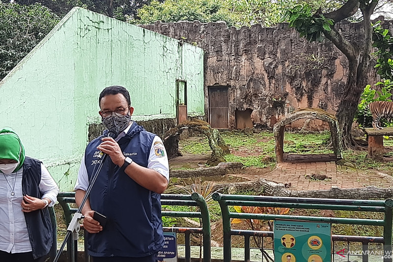 Gubernur DKI Jakarta Anies Baswedan saat mengunjungi Taman Margasatwa Ragunan, Jakarta Selatan, Minggu (1/8/2021). (ANTARA/Sihol Hasugian)