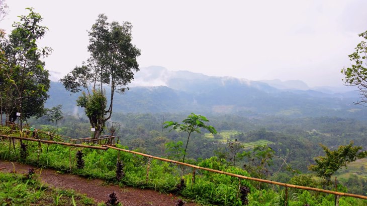 Pangandaran Punya Gunung Bukan Hanya Pantai