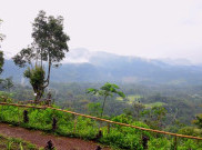 Pangandaran Punya Gunung Bukan Hanya Pantai