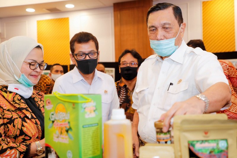 Luhut Tegaskan Kekurangan UU Cipta Kerja Disempurnakan PP