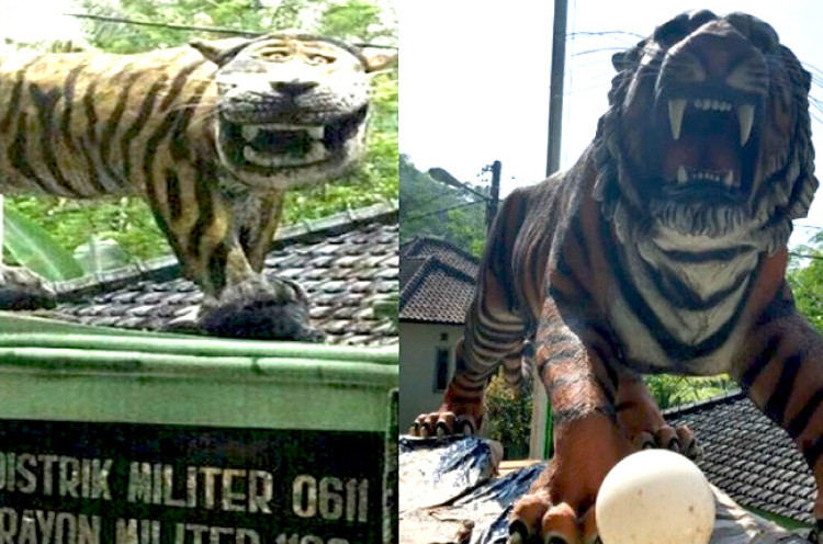 Telah Dibongkar, Ini Fakta Menarik Harimau 'Nyengir' Koramil Cisewu