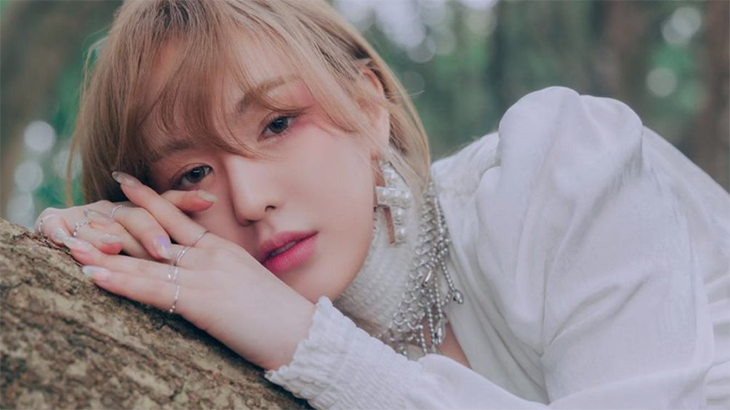 Diet Ekstrem Idola K-Pop Rusak Kulit