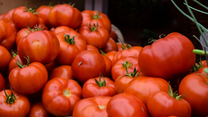 Tomat mengandung karotenoid. (Foto: Unsplash/Josephine Baran)