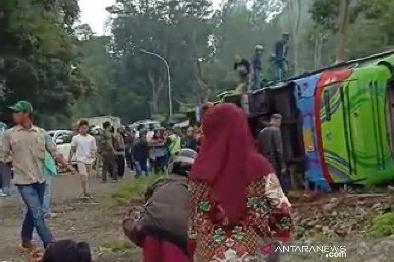Kecelakaan tunggal bus di Subang. (ANTARA/Dokumentasi Pribadi)