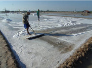 Kabar Garam Bercampur Kaca Ternyata Hoax, Ini Penjelasan Polisi