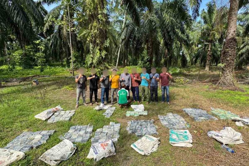 188 Kilogram Sabu-Sabu Disembunyikan di Kebun Sawit, Masuk Aceh Lewat Jalur Laut