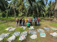 188 Kilogram Sabu-Sabu Disembunyikan di Kebun Sawit, Masuk Aceh Lewat Jalur Laut