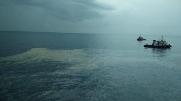 permukaan laut 