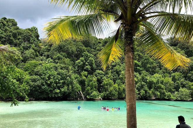 Rekomendasi Spot Snorkeling Terbaik di Kepulauan Derawan, Pelancong Wajib Mampir!