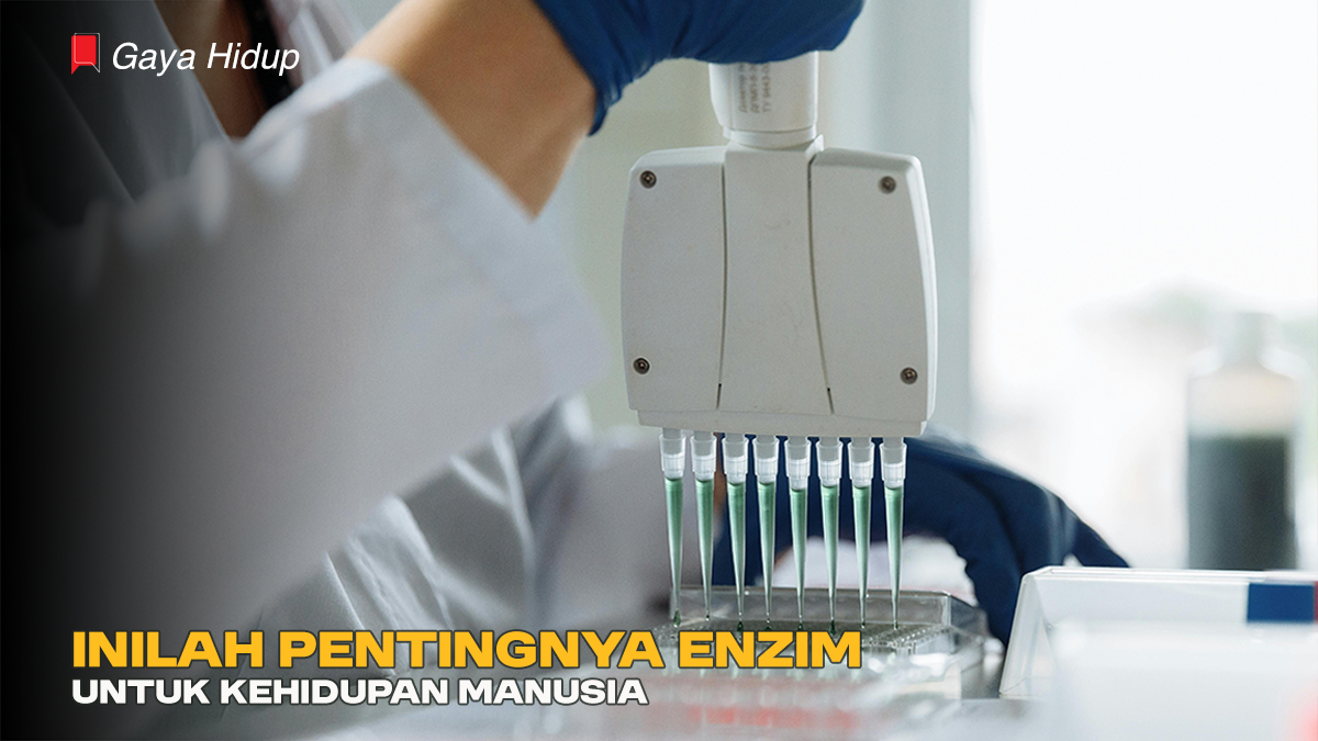 Inilah Pentingnya Enzim untuk Kehidupan Manusia