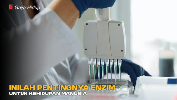 Inilah Pentingnya Enzim untuk Kehidupan Manusia