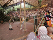 Pendiri Taman Safari Indonesia Bantah Tudingan Eksploitasi hingga Penyiksaan Pekerja OCI