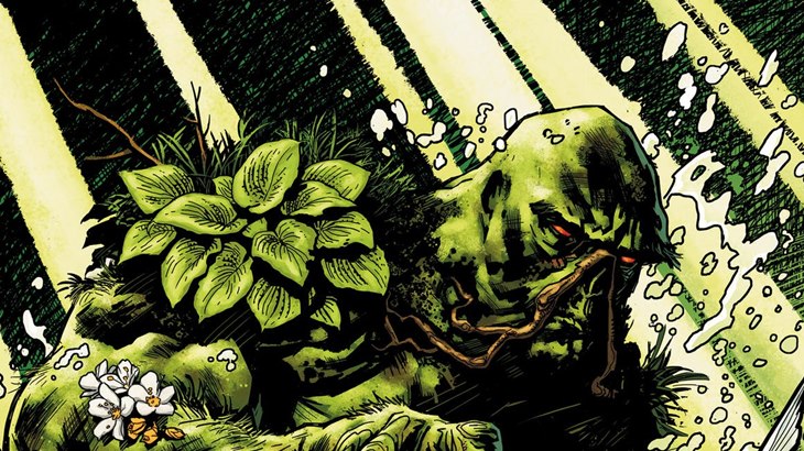 swamp