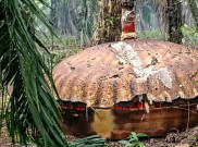 Benda Logam Misterius di Kebun Sawit Kotim Terungkap, Ternyata Sampah Antariksa Roket China