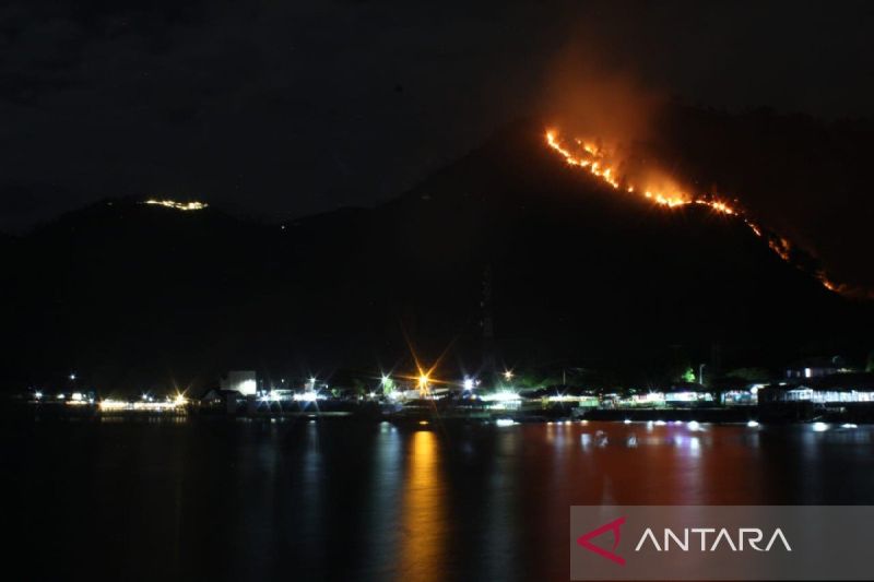 7 Kabupaten di Sumatera Utara Tetapkan Status Siaga Darurat Karhutla