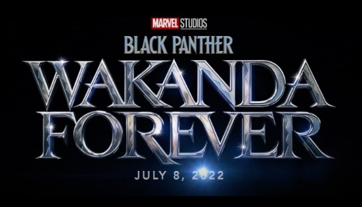 Marvel Resmi Rilis Judul dan Logo untuk Sekuel 'Black Panther'