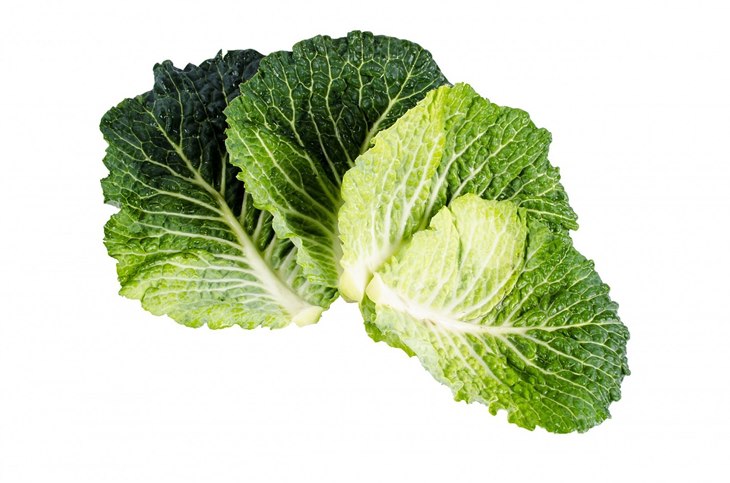 daun kol kale