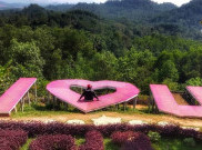 Bukit Pangonan, Lokasi Berfoto Asyik di Lampung
