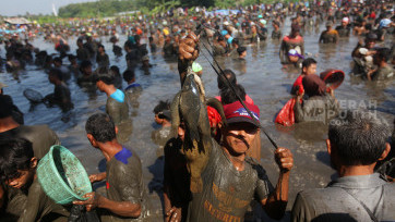 Keseruan Ribuan Warga Depok Ngubek Empang Lebaran Depok Perebutkan 1,3 Ton Ikan Air Tawar 