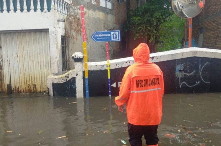 BPBD DKI Ungkap 25 Kelurahan di Jakarta Rawan Banjir