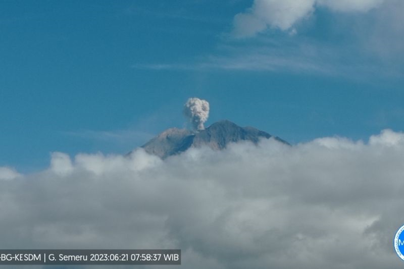 Gunung Semeru Lontaran Abu Vulkanik Setinggi 600 Meter