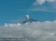 Gunung Semeru Lontaran Abu Vulkanik Setinggi 600 Meter