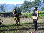 Permasalahan di Papua Dinilai Paling Kompleks dan Alot