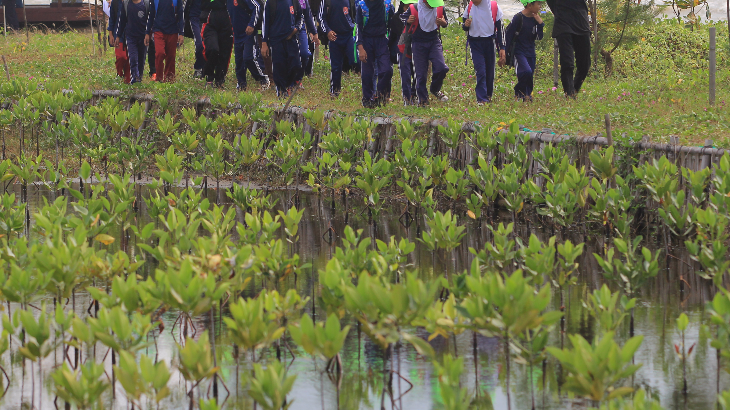 Mahasiswa Jepang Teliti Hutan Mangrove di Pantai Solop 