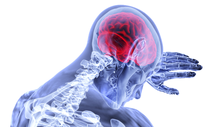 (Trivia 2) Tertidur lebih dari delapan jam berisiko terserang penyakit jantung koroner dan stroke (Foto: Pixabay/VSRao)