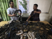 Ribuan Jerat Satwa Liar Tersebar dari Tamiang hingga Aceh Selatan