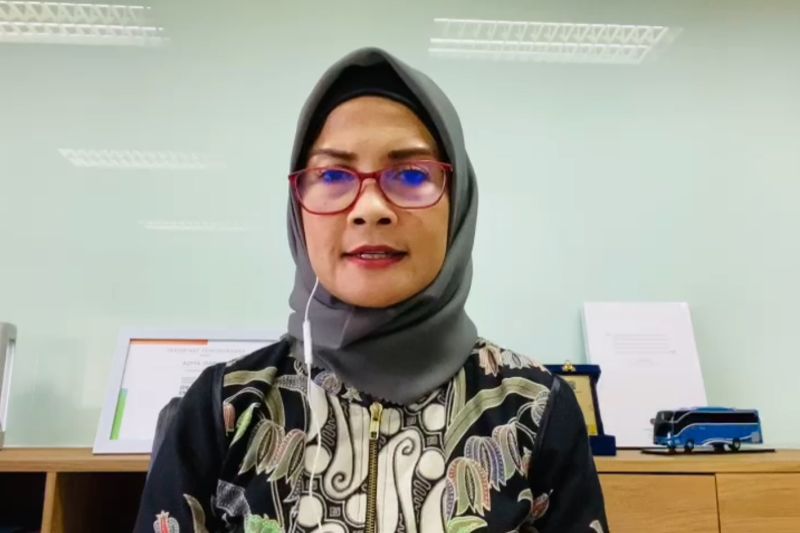 Juru Bicara Kementerian Perhubungan Adita Irawati. ANTARA/Adimas Raditya.
