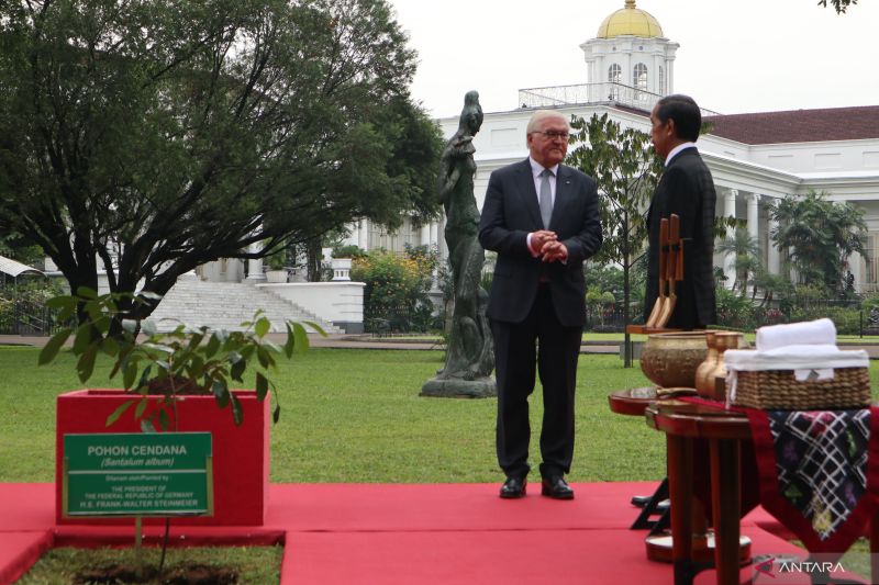 Presiden Joko Widodo dan Presiden Federasi Jerman Frank-Walter Steinmeier melakukan penanaman pohon Cendana atau Santalum album di halaman belakang Istana Kepresidenan Bogor pada Kamis (16/6/2022). (ANTARA/Desca Lidya Natalia)