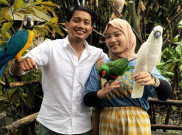 Musibah Keluarga Ridwan Kamil, Dewan Pers Minta Media Tidak Buat Berita Ramalan 