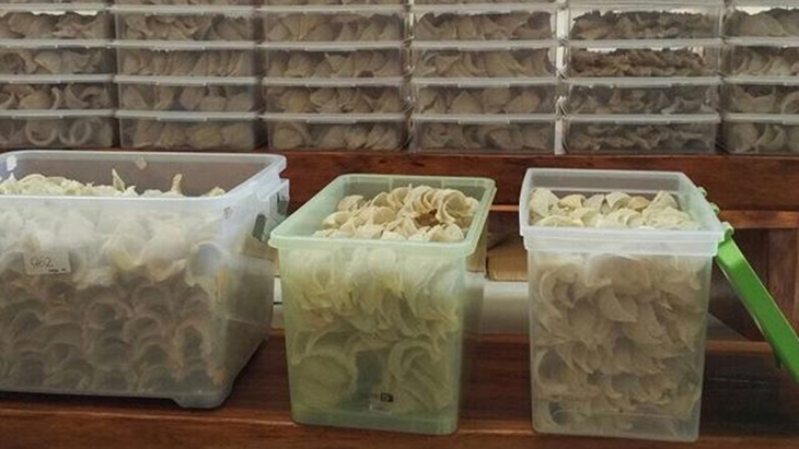 Meski Turun, Harga Sarang Burung Walet Masih Berkisar Rp13,5 juta  