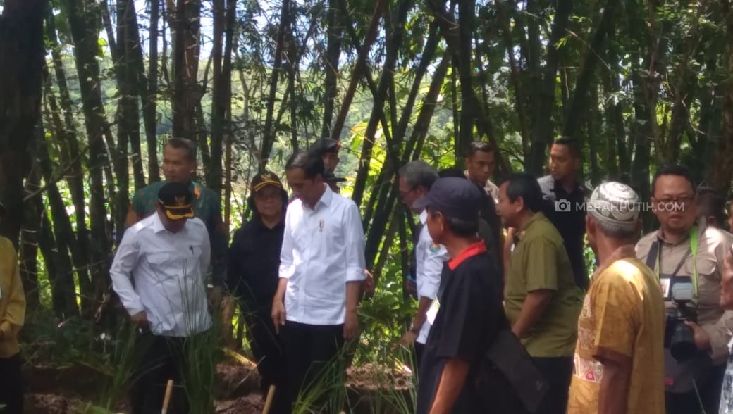 Jokowi dan Ibu Negara Tanam Ribuan Rumput Vativer Pencegah Bajir dan Longsor di Wonogiri