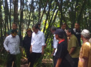 Jokowi dan Ibu Negara Tanam Ribuan Rumput Vativer Pencegah Bajir dan Longsor di Wonogiri