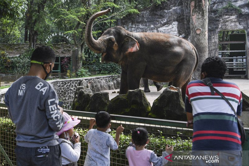 Pemprov DKI Buka Tempat Wisata, Anak di Bawah 12 Tahun Belum Diizinkan Masuk