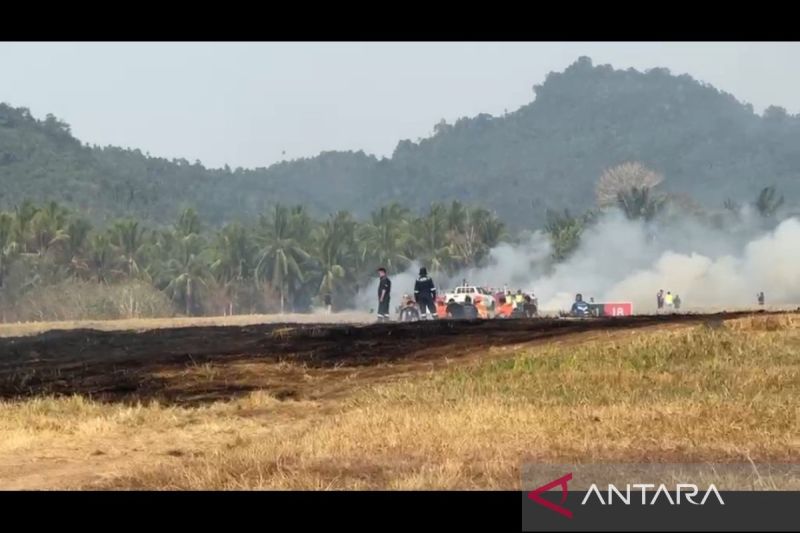 Bandara Sam Ratulangi Manado Ditutup Imbas Kebakaran Rumput Area Runway