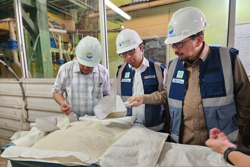 Impor Gula 2023 Diyakini Hanya 1 Juta Ton
