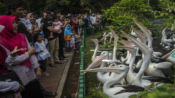 Pengunjung Ragunan