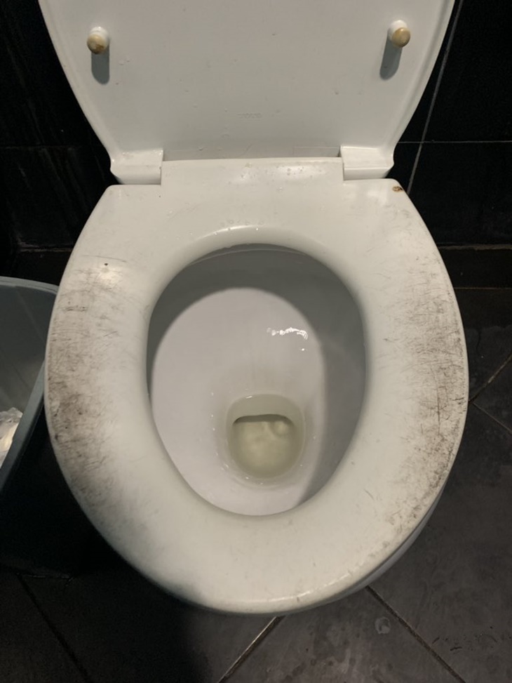 Jongkok di Toilet Duduk, Bikin Lega Ketika Buang Air di Negara Aing