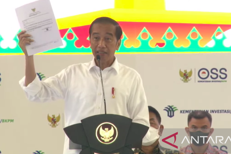 Jokowi Dorong UMKM Manfaatkan Aplikasi Daring untuk Dongkrak Omzet