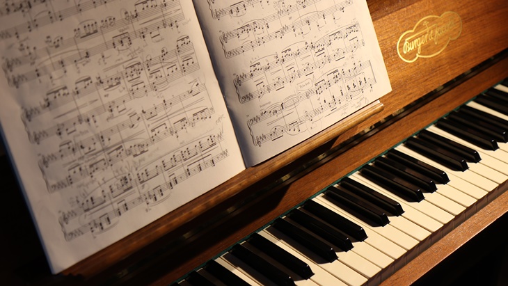 Siapakah Elise di Balik Mahakarya Beethoven?