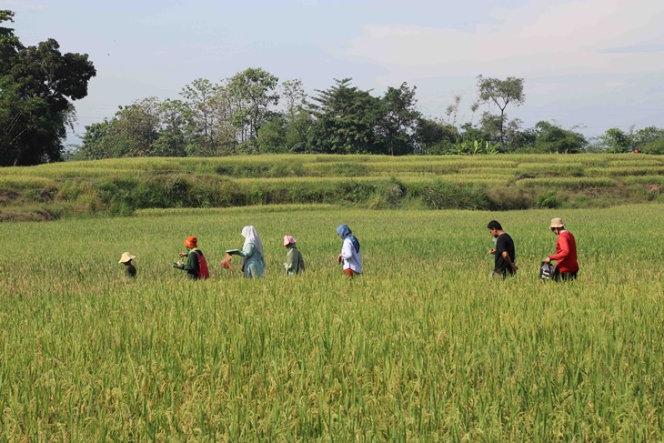 Yuk, Investasi Oksigen untuk Bumi Lebih Sejuk