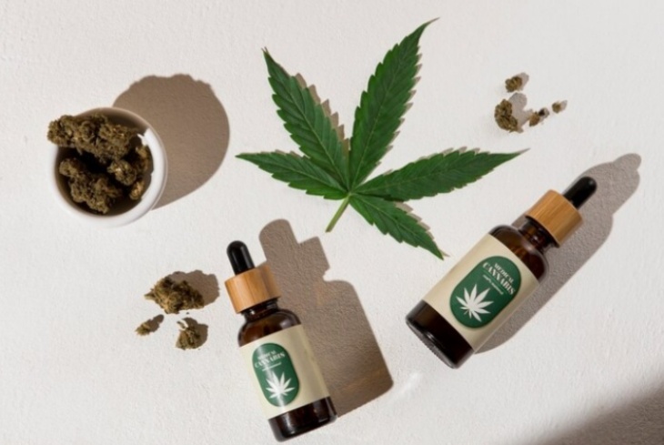 Ganja Medis dan Ganja Biasa, Ketahui Perbedaannya