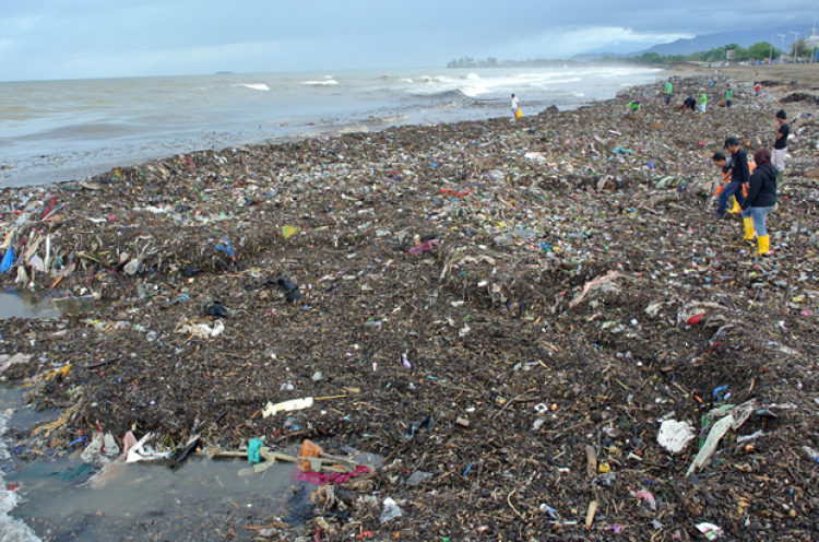 Curhat Soal Sampah, Luhut Minta Bantuan Korea Selatan