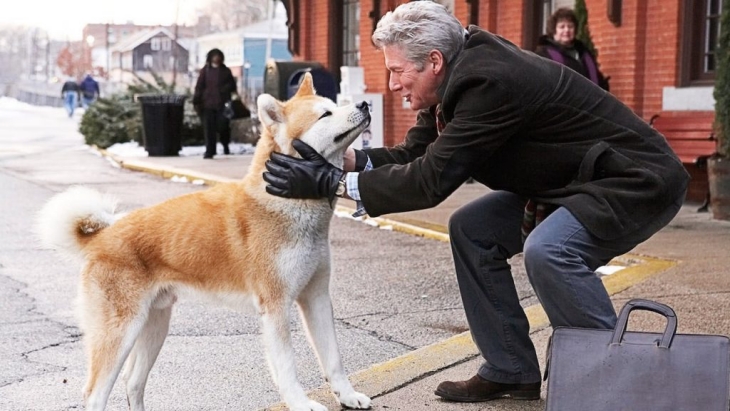 Menyentuh, 5 Film ini Hadirkan Kisah Persahabatan Anjing dan Manusia